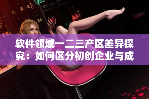 软件领域一二三产区差异探究：如何区分初创企业与成熟企业？