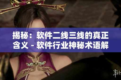 揭秘：软件二线三线的真正含义 - 软件行业神秘术语解析