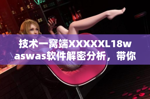 技术一窝端XXXXXL18waswas软件解密分析，带你深入了解软件安全性