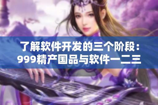 了解软件开发的三个阶段：999精产国品与软件一二三产区的区别