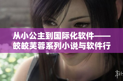 从小公主到国际化软件——皎皎芙蓉系列小说与软件行业的启示
