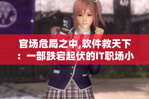 官场危局之中,软件救天下：一部跌宕起伏的IT职场小说