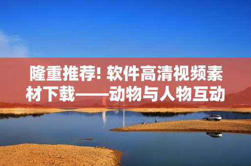 隆重推荐! 软件高清视频素材下载——动物与人物互动的精彩画面