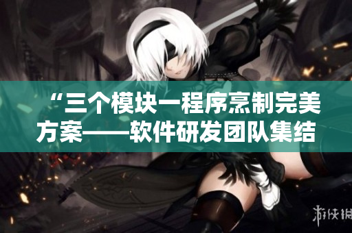 “三个模块一程序烹制完美方案——软件研发团队集结共建婚礼”