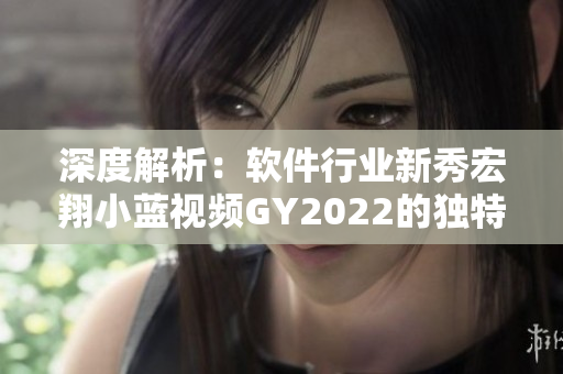 深度解析：软件行业新秀宏翔小蓝视频GY2022的独特之处揭秘！