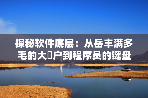探秘软件底层：从岳丰满多毛的大隂户到程序员的键盘故事