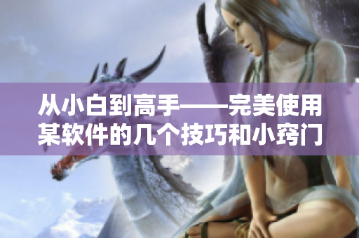 从小白到高手——完美使用某软件的几个技巧和小窍门