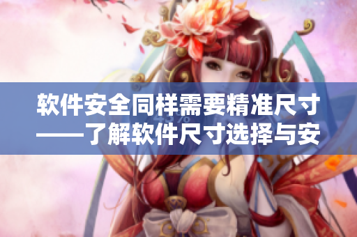 软件安全同样需要精准尺寸——了解软件尺寸选择与安全