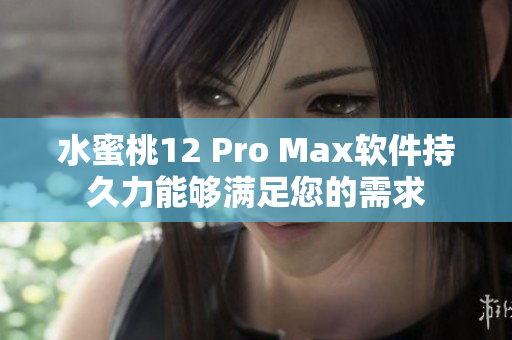 水蜜桃12 Pro Max软件持久力能够满足您的需求