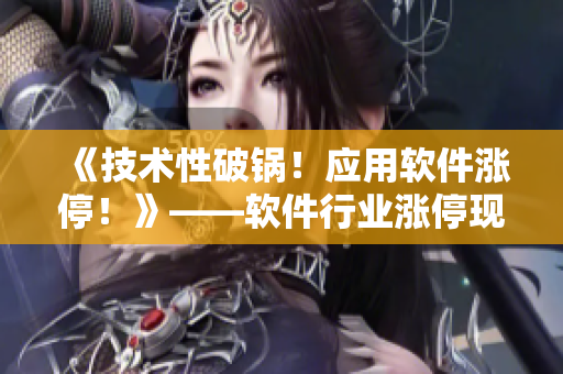 《技术性破锅！应用软件涨停！》——软件行业涨停现象实地调查