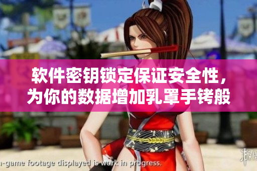 软件密钥锁定保证安全性，为你的数据增加乳罩手铐般的保护