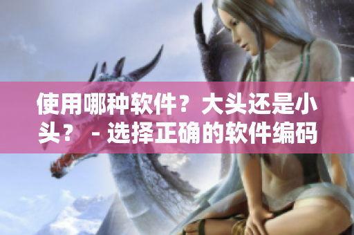 使用哪种软件？大头还是小头？ - 选择正确的软件编码方式