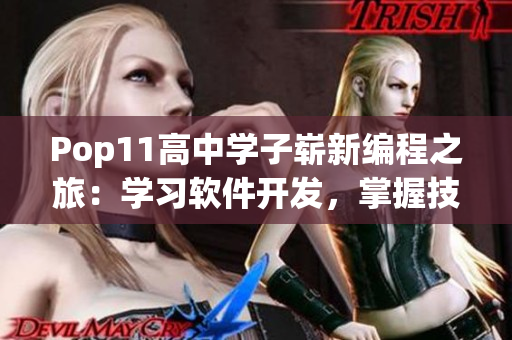 Pop11高中学子崭新编程之旅：学习软件开发，掌握技能为未来铺路