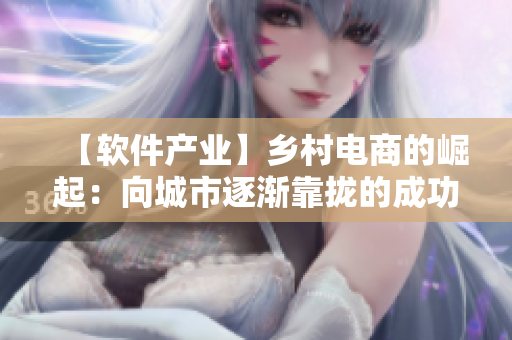 【软件产业】乡村电商的崛起：向城市逐渐靠拢的成功之路