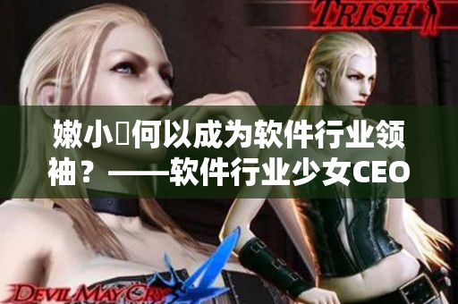 嫩小槡何以成为软件行业领袖？——软件行业少女CEO嫩小槡深度解析