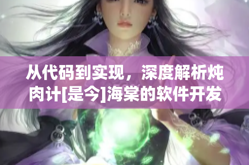 从代码到实现，深度解析炖肉计[是今]海棠的软件开发哲学