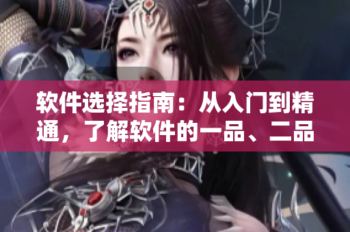 软件选择指南：从入门到精通，了解软件的一品、二品、三品级别