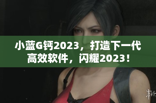 小蓝G钙2023，打造下一代高效软件，闪耀2023！