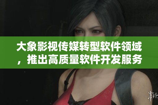 大象影视传媒转型软件领域，推出高质量软件开发服务