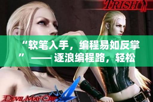 “软笔入手，编程易如反掌” —— 逐浪编程路，轻松驾驭编程利器