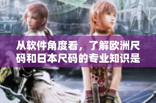 从软件角度看，了解欧洲尺码和日本尺码的专业知识是必要的：欧日码专线
