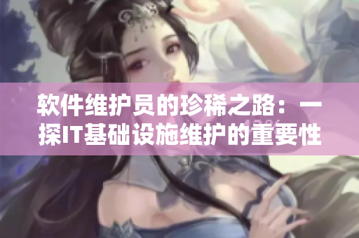 软件维护员的珍稀之路：一探IT基础设施维护的重要性