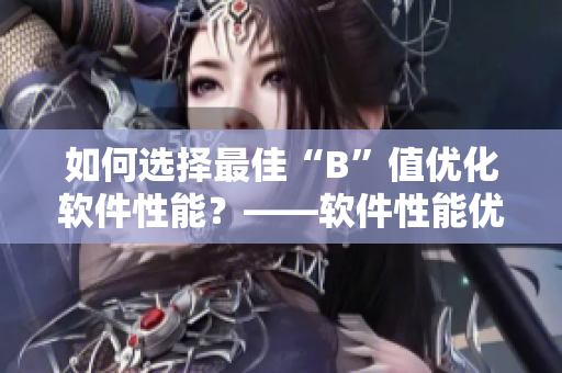 如何选择最佳“B”值优化软件性能？——软件性能优化指南