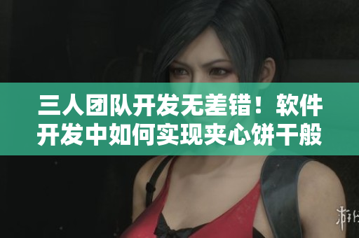 三人团队开发无差错！软件开发中如何实现夹心饼干般完美的代码编写方法