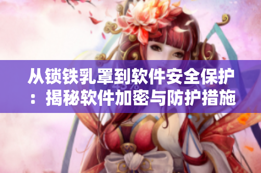 从锁铁乳罩到软件安全保护：揭秘软件加密与防护措施