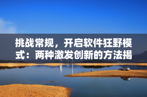 挑战常规，开启软件狂野模式：两种激发创新的方法揭秘