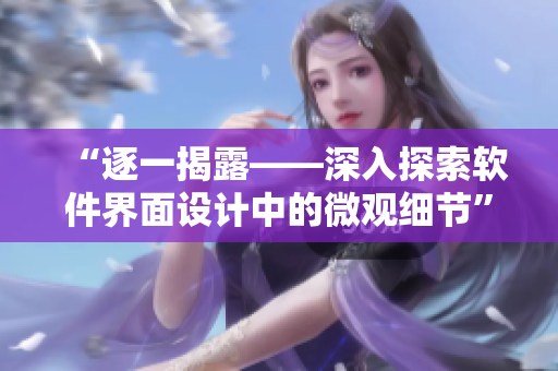 “逐一揭露——深入探索软件界面设计中的微观细节”