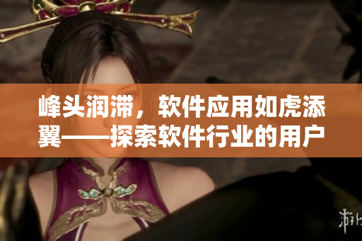 峰头润滞，软件应用如虎添翼——探索软件行业的用户粘性