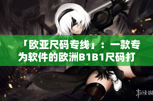 「欧亚尺码专线」：一款专为软件的欧洲B1B1尺码打造的尺码转换工具