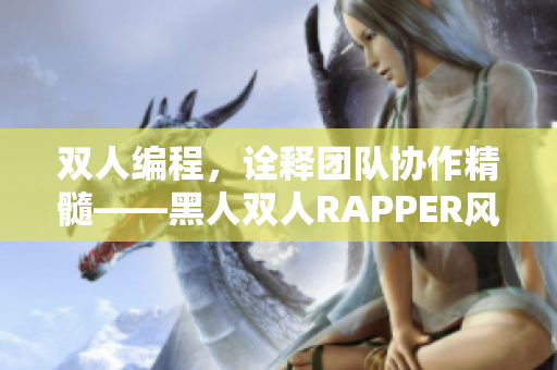 双人编程，诠释团队协作精髓——黑人双人RAPPER风靡软件开发界