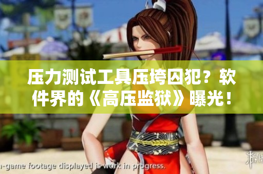 压力测试工具压垮囚犯？软件界的《高压监狱》曝光！
