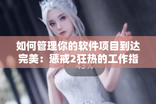 如何管理你的软件项目到达完美：惩戒2狂热的工作指导第2集