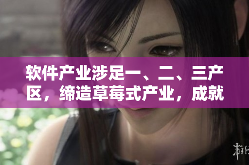 软件产业涉足一、二、三产区，缔造草莓式产业，成就精品化经济