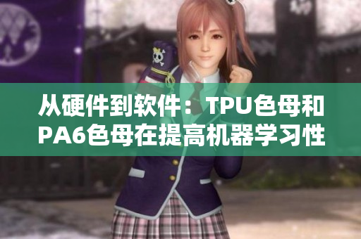从硬件到软件：TPU色母和PA6色母在提高机器学习性能中的应用比较