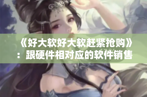 《好大软好大软赶紧抢购》：跟硬件相对应的软件销售火爆