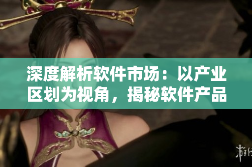 深度解析软件市场：以产业区划为视角，揭秘软件产品的三大领域特色