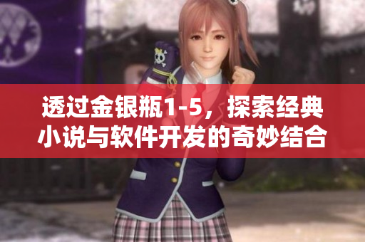 透过金银瓶1-5，探索经典小说与软件开发的奇妙结合
