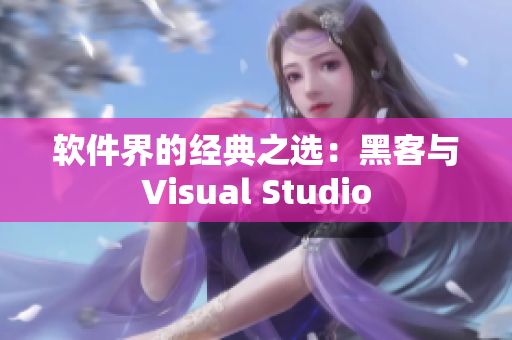 软件界的经典之选：黑客与Visual Studio