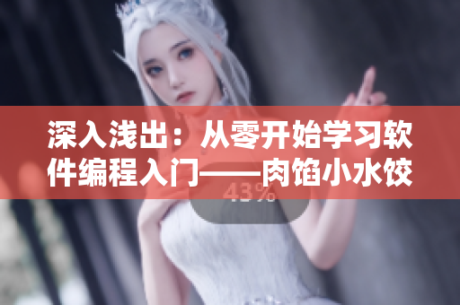深入浅出：从零开始学习软件编程入门——肉馅小水饺授课方式研究