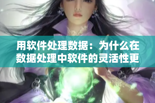 用软件处理数据：为什么在数据处理中软件的灵活性更好？