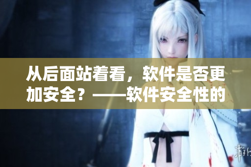 从后面站着看，软件是否更加安全？——软件安全性的分析与探讨