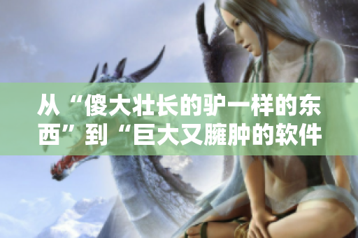 从“傻大壮长的驴一样的东西”到“巨大又臃肿的软件”，如何优化？