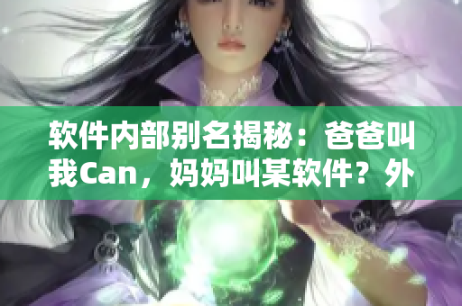 软件内部别名揭秘：爸爸叫我Can，妈妈叫某软件？外婆又叫什么？