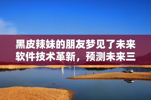黑皮辣妹的朋友梦见了未来软件技术革新，预测未来三年必备软件清单