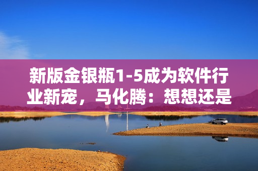 新版金银瓶1-5成为软件行业新宠，马化腾：想想还是做好软件吧！