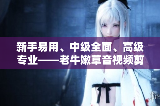 新手易用、中级全面、高级专业——老牛嫩草音视频剪辑软件产品区别